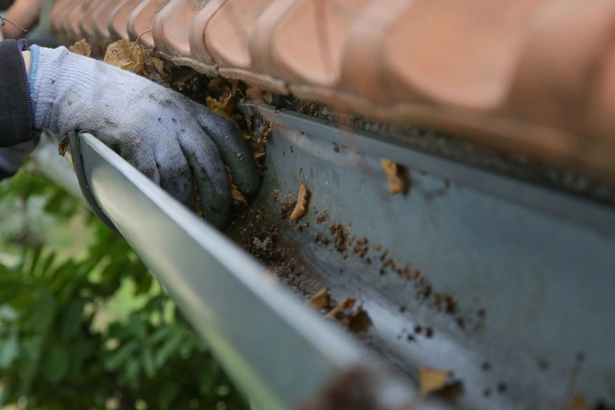 Residential gutter cleaning service