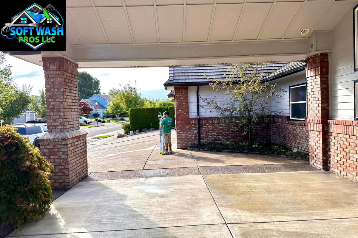 Residential Concrete Cleaning service-3 Concrete Cleaning service-3