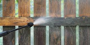 Residential Fence Cleaning service